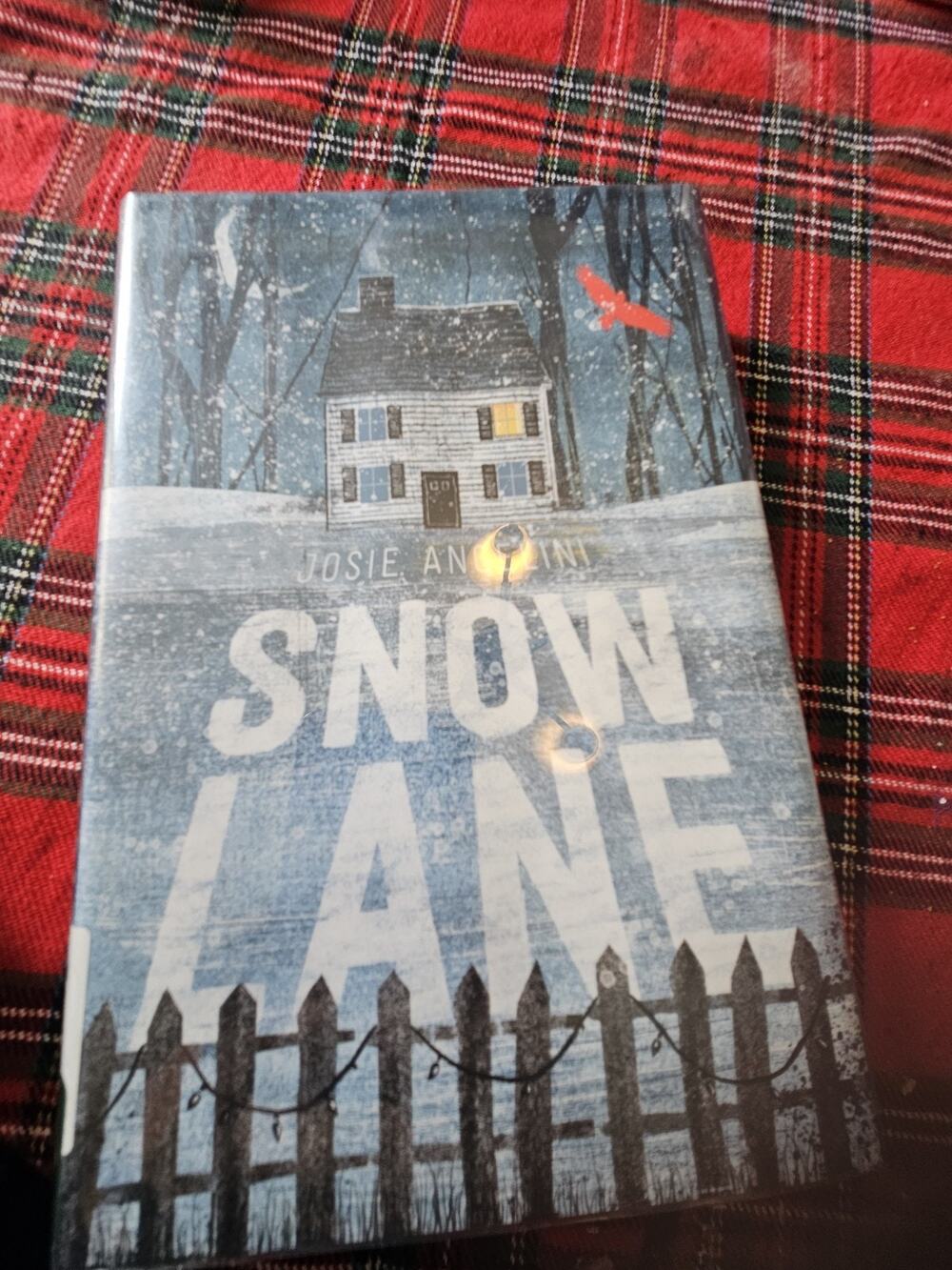 Snow Lane by Josie Angelini (2018, Hardcover)